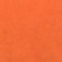 [121002B] ANARANJADO ACUALAN APR 5G