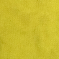 AMARILLO ACUALAN APR 2G