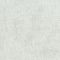 BLANCO ACUALAN APR C