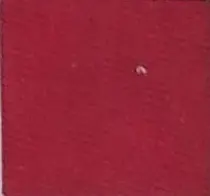 [121013B] CARMIN ACUALAN APR RC